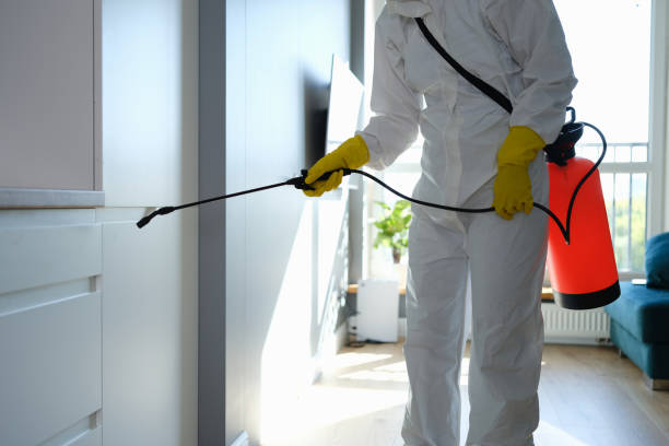 Best Mold Remediation for Specific Building Types in Jacksonville, AR